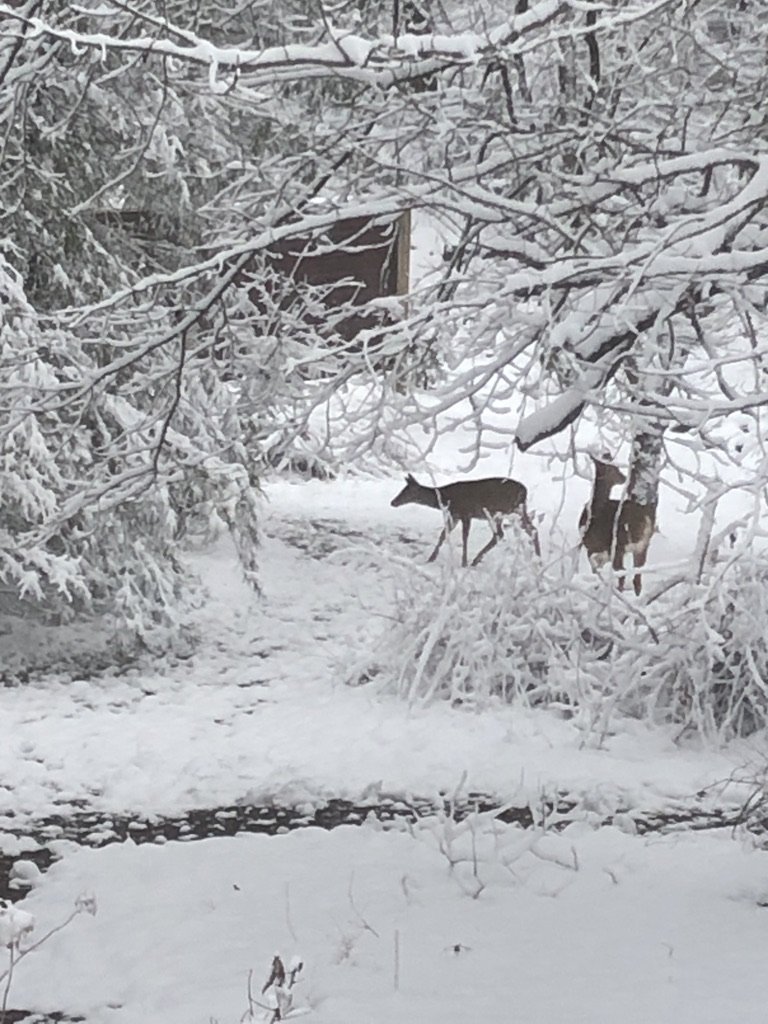 Snow Day 6 - 1-3-22