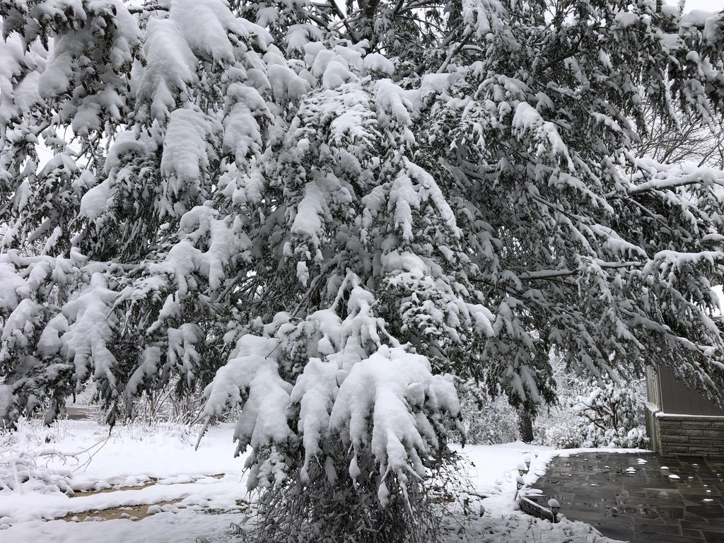 Snow Day 8 - 1-3-22