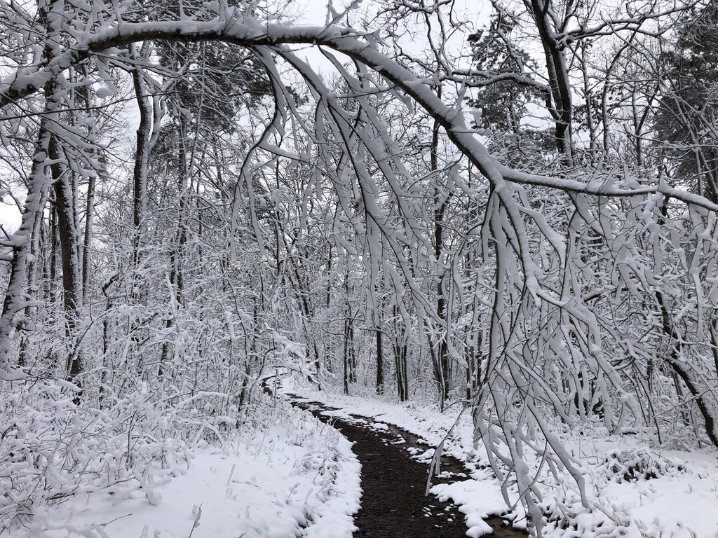 Snow Day 4 - 1-3-22