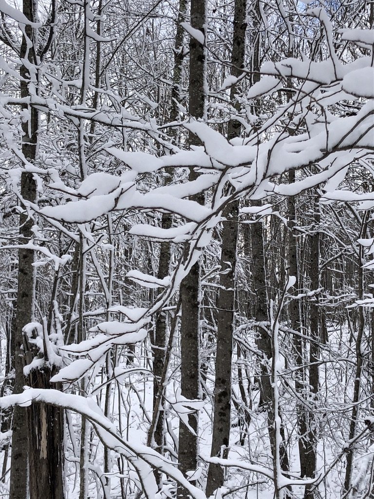 Snow Day 2 - 1-3-22