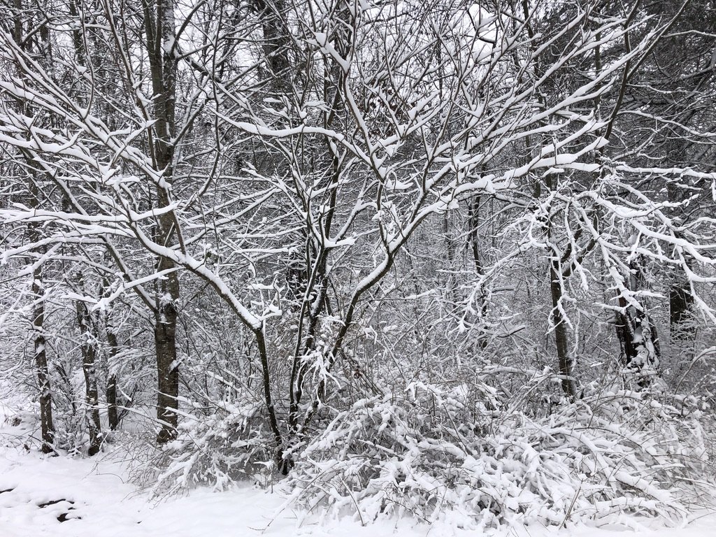 Snow Day 10 - 1-3-22