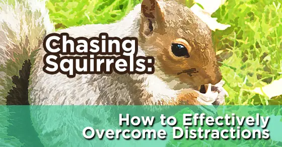 Chasing Squirrels New