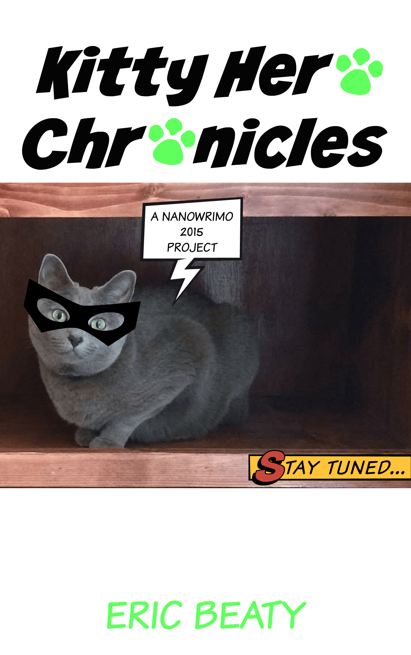 Kitty Hero Chronicles cover